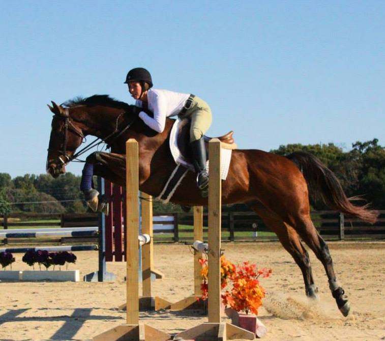 Tyler Peabody.Doggy Dorm.Horses