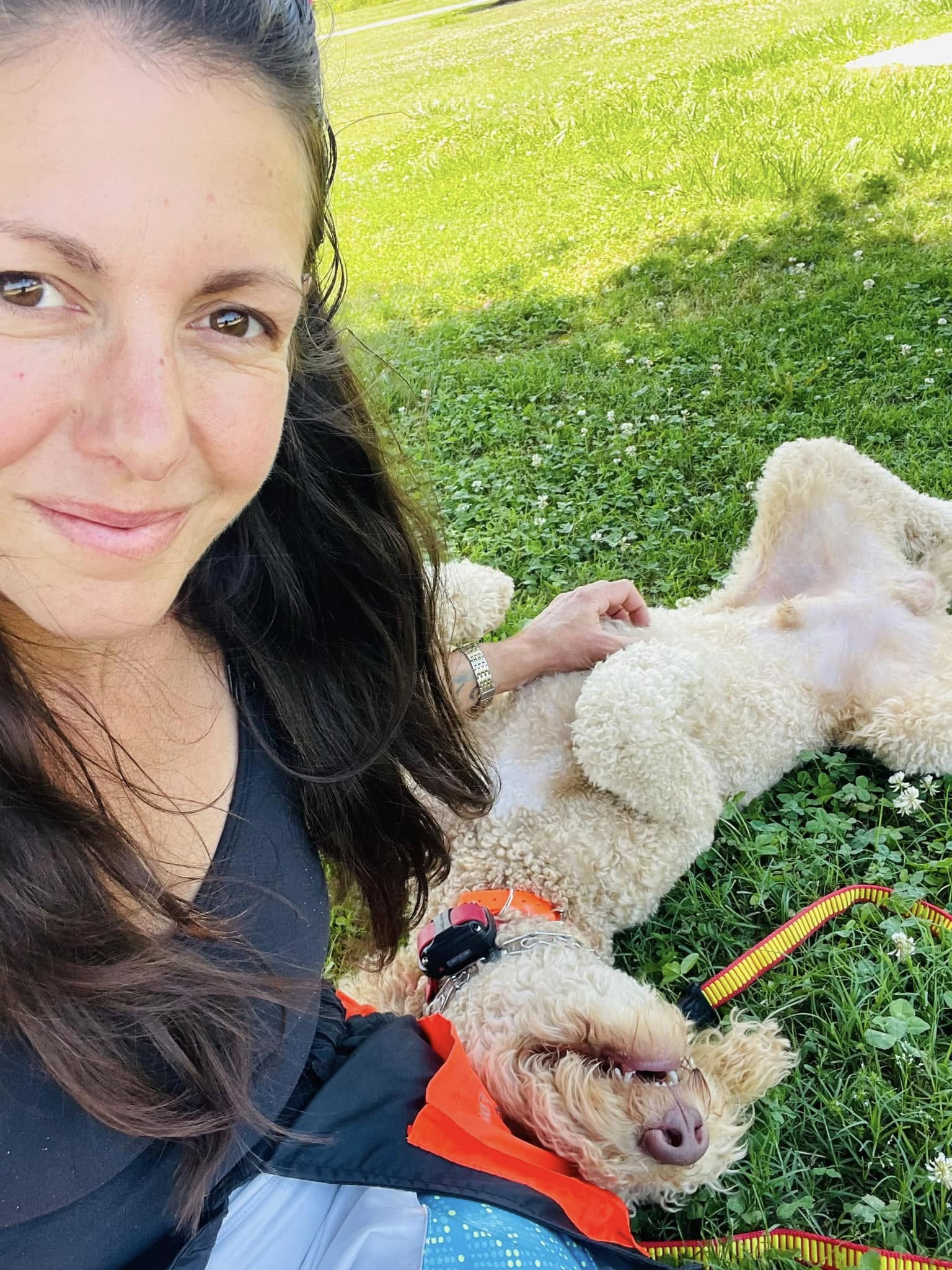 490563802 1221707519955801 2634103912088547094 n