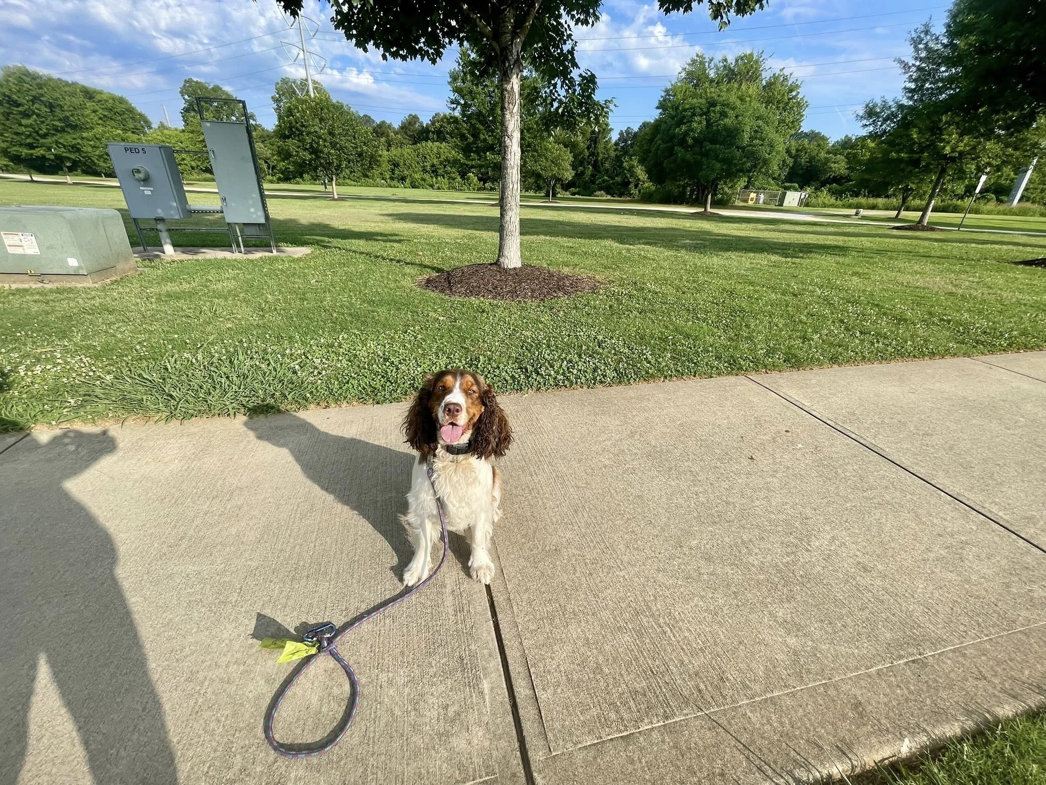 Elsie Doggy dorm