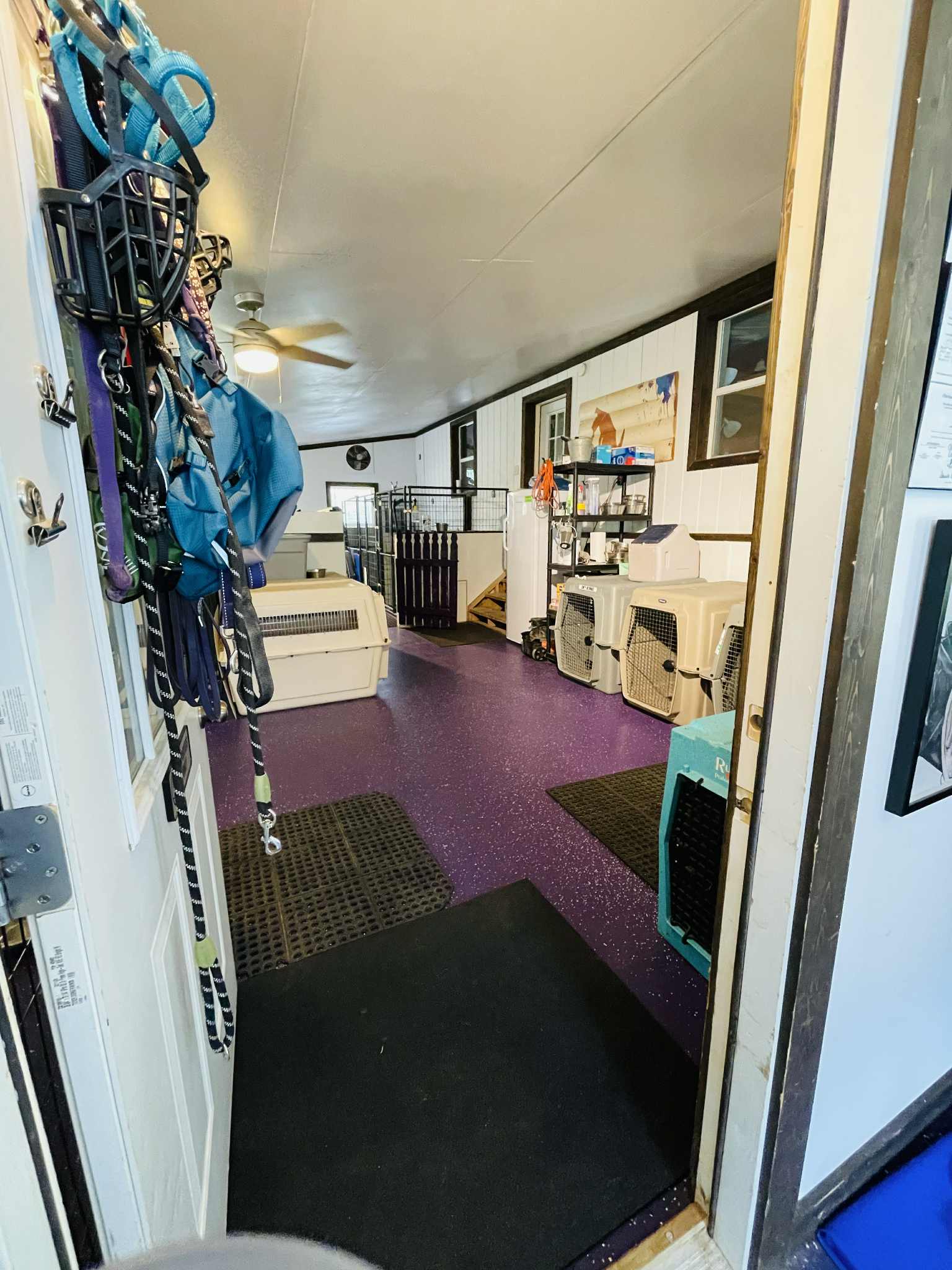 dog boarding room 3