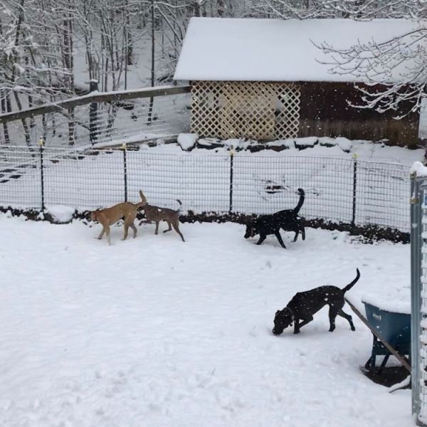 83753766 1484254205058215 5118690131577929728 n