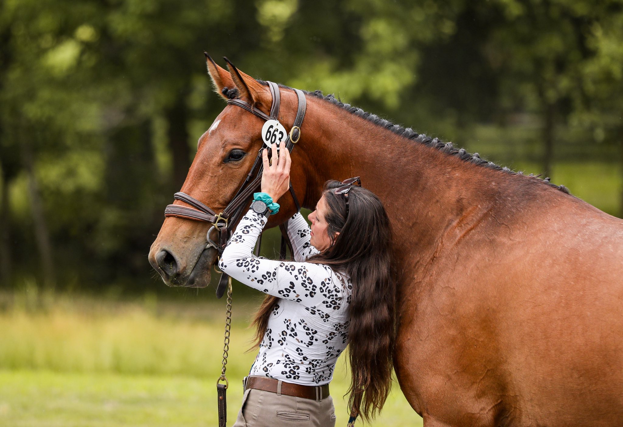 tyler and bubbles doggy dorm